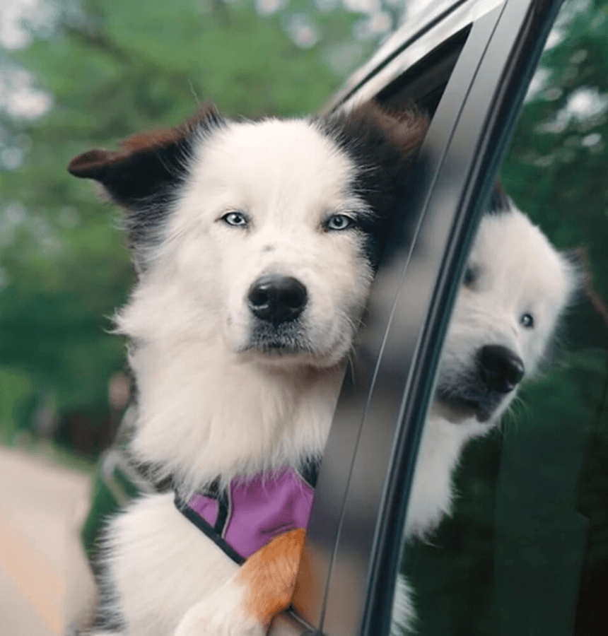 Byrider Get Credit For Being You