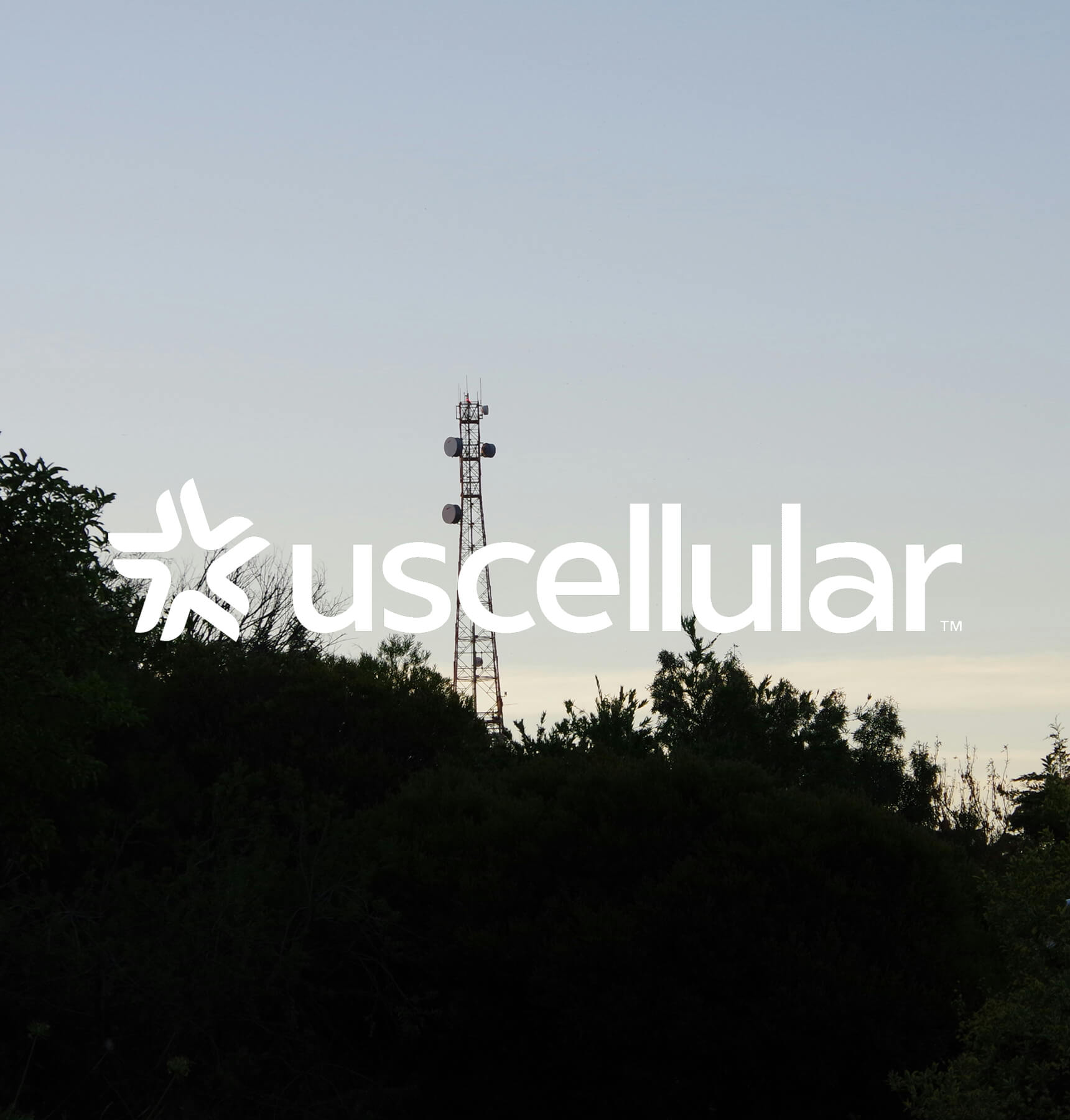 UScellular Case Study