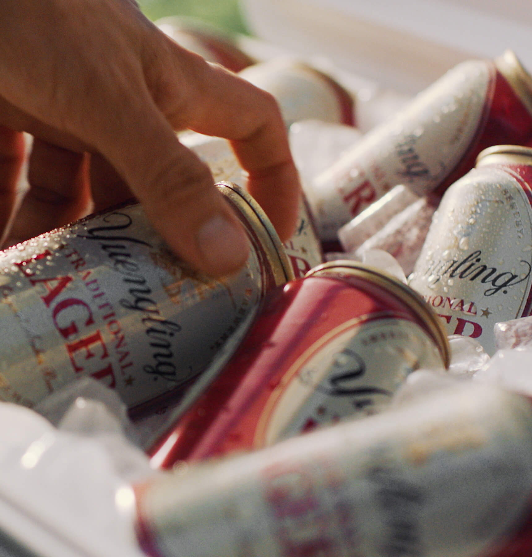 Yuengling Spread Your Wings